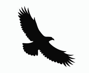 Golden eagle silhouette editable EPS vector isolated illustration template on a white background