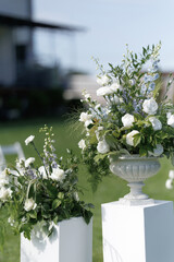 white flowers in a white vase