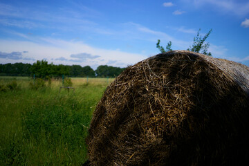 a round stack of hay in front of a clear blue sky in a field