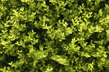 Obraz premium Lush Green Foliage Background Texture