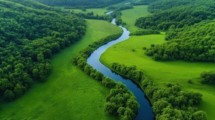 Seeping groundwater nurturing a lush green forest, groundwater resources, unseen lifelines