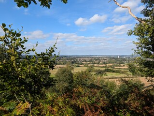 Woodland area rural England Forestry temperate