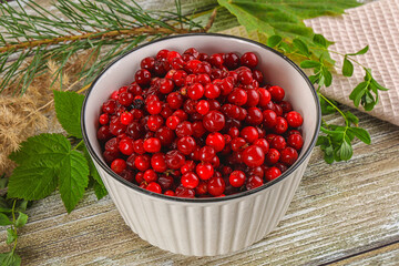 Natural organic wild forwst lingonberry