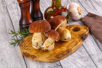 Raw natural wild porchini mushrooms