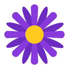 Aster Icon Style
