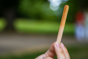 Closeup of young womans hand holding an empty wooden popsicle stick after she finished eating the ice cream. Summer day in park. Blurred natural green backdrop. Copy space