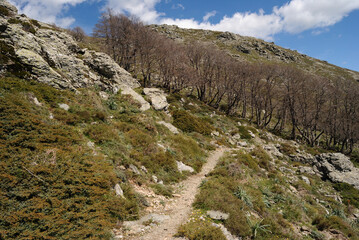 Vedute panoramiche sul sentiero per Punta La Marmora, sui Monti del Gennargentu