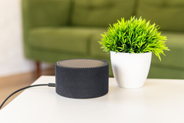 Round small smart speaker and home plant on white table. Smart device for home in living room