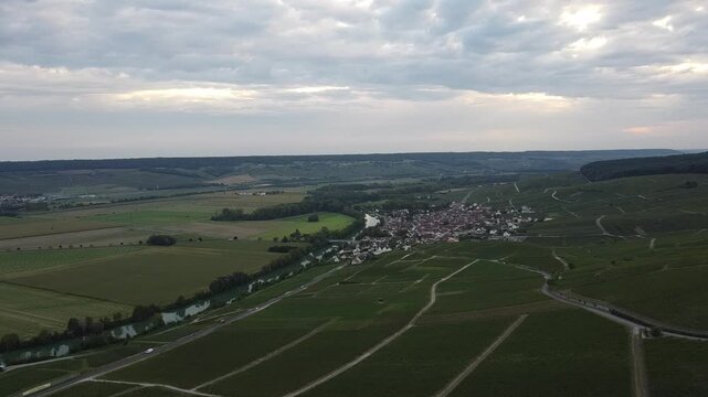 Aerial video, panoramic view of rows of green vineyards on slopes of Champagne region during grape harvest, champagne sparkling wine making in France along Marne River, premier and grand cru vineyards