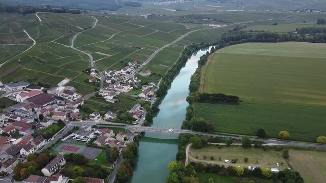 Aerial video, panoramic view of rows of green vineyards on slopes of Champagne region during grape harvest, champagne sparkling wine making in France along Marne River, premier and grand cru vineyards