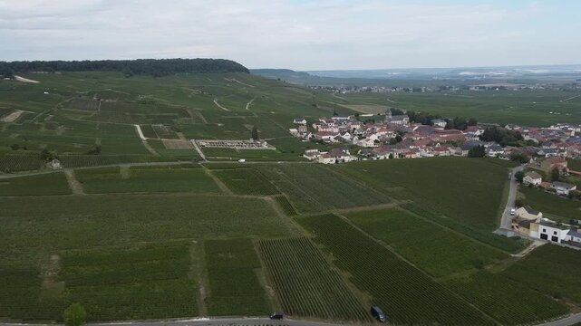 Aerial video, panoramic view of rows of green vineyards on slopes of Champagne region during grape harvest, champagne sparkling wine making in France along Marne River, premier and grand cru vineyards