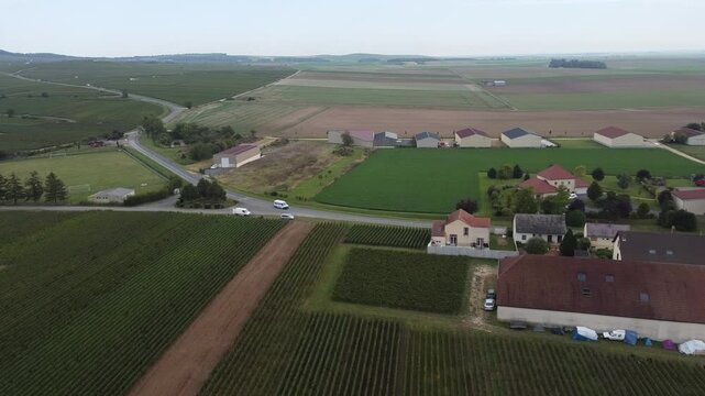 Aerial video, panoramic view of rows of green vineyards on slopes of Champagne region during grape harvest, champagne sparkling wine making in France along Marne River, premier and grand cru vineyards