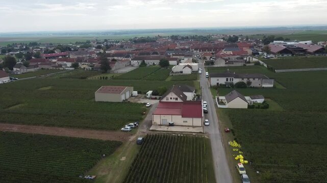Aerial video, panoramic view of rows of green vineyards on slopes of Champagne region during grape harvest, champagne sparkling wine making in France along Marne River, premier and grand cru vineyards