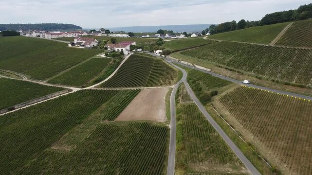Aerial video, panoramic view of rows of green vineyards on slopes of Champagne region during grape harvest, champagne sparkling wine making in France along Marne River, premier and grand cru vineyards