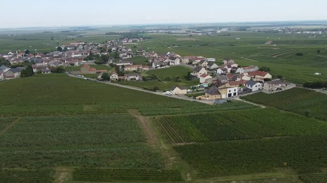 Aerial video, panoramic view of rows of green vineyards on slopes of Champagne region during grape harvest, champagne sparkling wine making in France along Marne River, premier and grand cru vineyards
