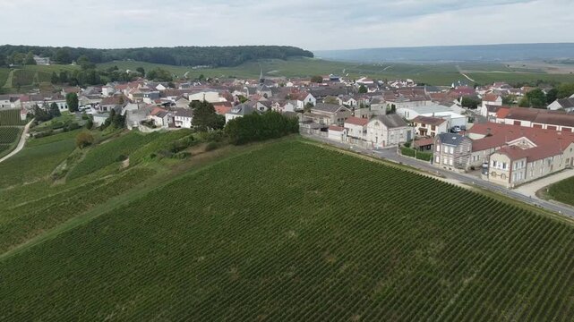 Aerial video, panoramic view of rows of green vineyards on slopes of Champagne region during grape harvest, champagne sparkling wine making in France along Marne River, premier and grand cru vineyards