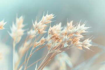 Obraz premium Serene Close-Up of Delicate Wildflowers in Golden Hour Light
