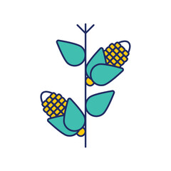 corn stalks color line icon with white background vector stock illustration