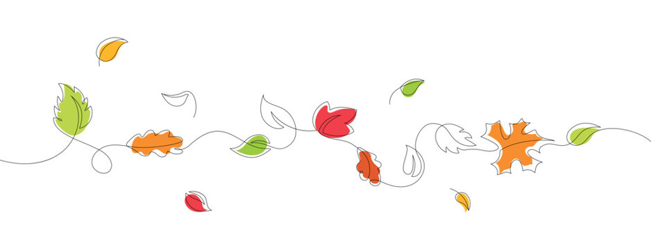 autumn leaves in line art style, black continuos line with colored leaves,hand drawn isolated vector illustration,design element for decoration,greeting cards, invitation,banner,poster