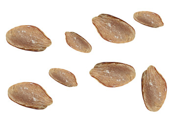 Apricot stones, seeds on isolated transparent background.