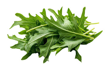 A bunch of wild dandelion leaves with jagged edges, isolated on a transparent background, PNG file.