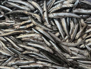 Anchovies on a fish market stall in Naples Italy