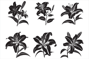 Minimalist Lily Flower Silhouette Vector Illustration
