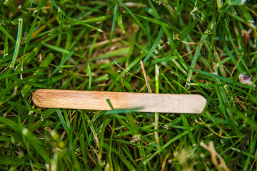 A wooden ice cream popsicle stick thrown onto green grass lawn. Simple biodegradable wooden stick laying on the meadow, showcasing sustainable materials in nature.
