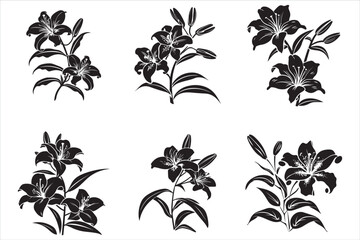 Minimalist Lily Flower Silhouette Vector Illustration