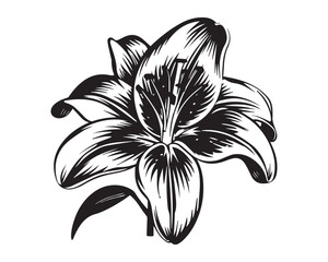 Minimalist Lily Flower Silhouette Vector Illustration