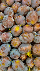 Ripe plums in the morning light. Close-up of fresh plums, top view. Purple plums background.
