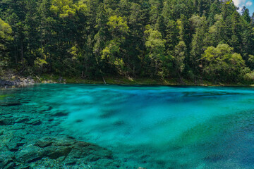 The colorful blue lake view in Jiuzhai valley national park, sichuan, china