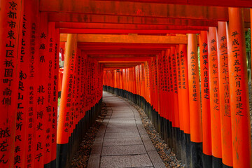 Fototapeta premium japanese shrine in kyoto country, Torii corridor, Fushimi Inari Taisha
