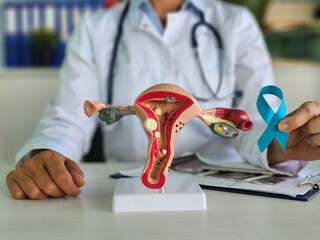 Turquoise ribbon with cervix image