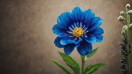 Vibrant blue flower on display