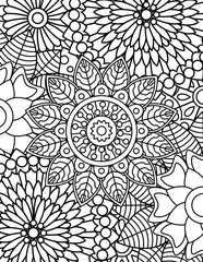  Adult Coloring Book pages
