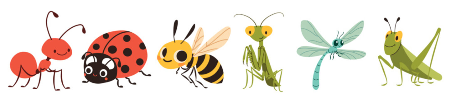 A set of flat vector illustrations in children's style. Cute mosquito caterpillar wasp ladybug mantis dragonfly grasshopper grasshopper ant. Vector illustration
