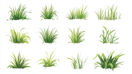 A collection of simple, flat-style drawings of grass. Each picture shows grass on a plain white background.