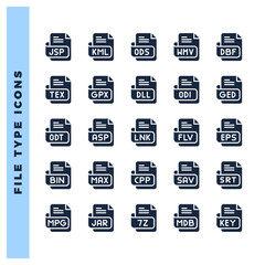25 File Type Glyph icon pack. vector illustration.