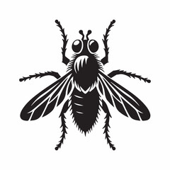 Obraz premium Elegant Firefly Silhouette Vector Art