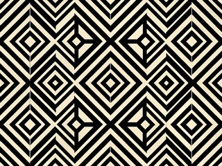 Vibrant black and white lines and shapes converge to create a visually striking, sophisticated geometric design that