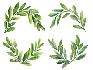 Fototapeta premium Set of green olive branches for awards, isolated on white background