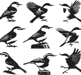 Black and White Vector Illustration of Nine Small Birds with White Throats, Ornithology Art, Nature Illustration, Bird Watching Graphic Design