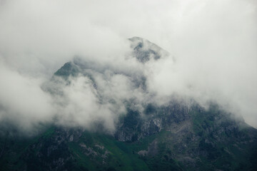 Misty coniferous forest in the mountains ''Col de la core'' France