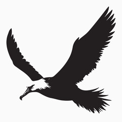Albatross bird black silhouette vector Design.