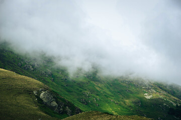 Fototapeta premium Misty coniferous forest in the mountains ''Col de la core'' France