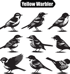 Yellow Warbler Bird Vector Illustration: Black and White Line Art Set of Songbirds for Ornithology Enthusiasts and Graphic Design Projects