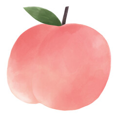 Cute peach png sticker, watercolor design in transparent background