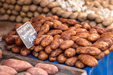 A colorful assortment of freshly dug potatoes fills a wooden table, showcasing their earthy texture and rustic charm, drawing in enthusiastic shoppers.