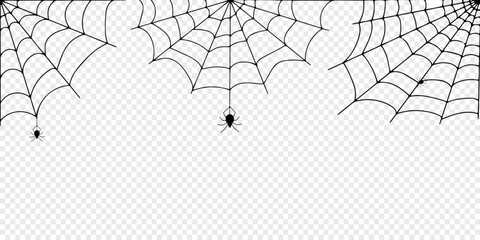 Halloween spider web and spiders isolated on white background. Black spider and torn web. Scary spiderweb of halloween symbol